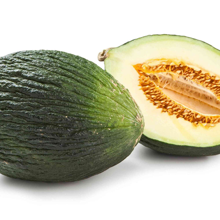 Tendral Verde Tardif Melon Seeds