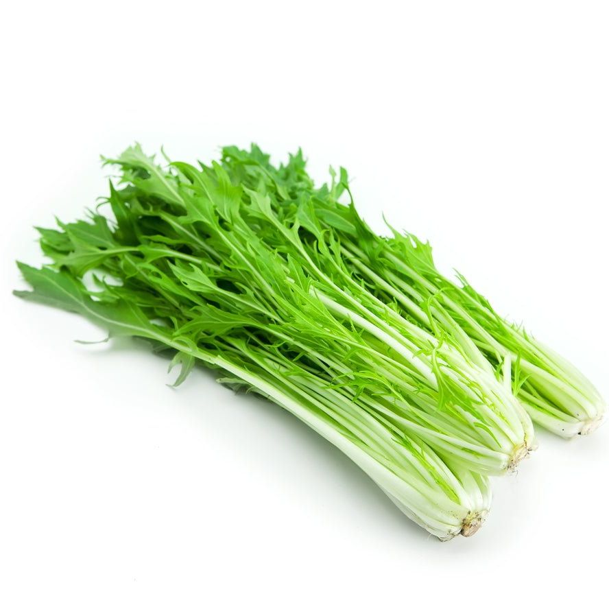 Mustard Seeds - Early Mizuna - Alliance of Native Seedkeepers - 