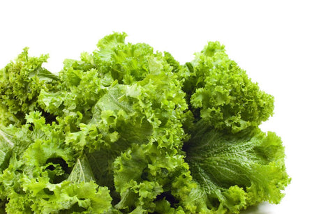 Mustard Seeds - Old Fashioned - Alliance of Native Seedkeepers - 