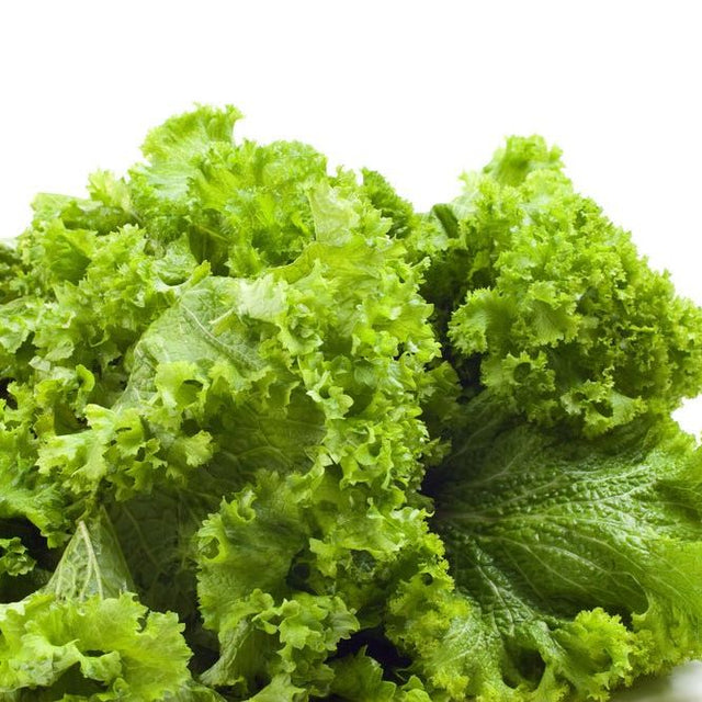 Mustard Seeds - Old Fashioned - Alliance of Native Seedkeepers - 