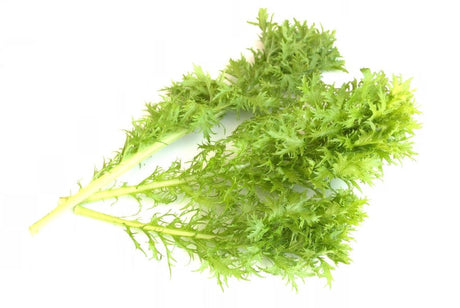 Mustard Seeds - Wasabi - Alliance of Native Seedkeepers - 