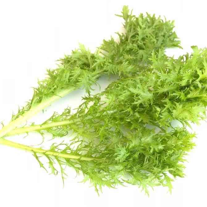 Wasabi Mustard Seeds