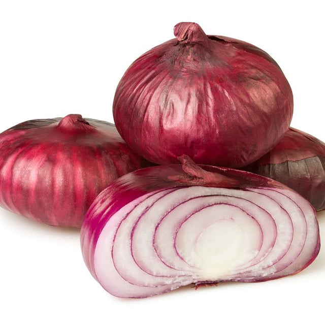 Onion Seeds - Intermediate - Red Cipollini - Alliance of Native Seedkeepers - Vegetable Seeds