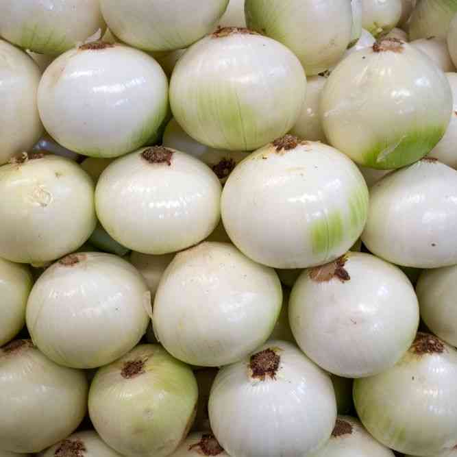 Crystal White Wax Pickling Onion