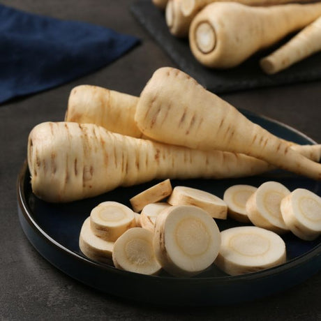 Parsnip Seeds - Hollow Crown - Alliance of Native Seedkeepers - Vegetable Seeds