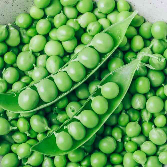 Progress no. 9 Pea Seeds