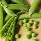 Pea Seeds - Snap - Cascadia Edible Pod - Alliance of Native Seedkeepers - Vegetable Seeds
