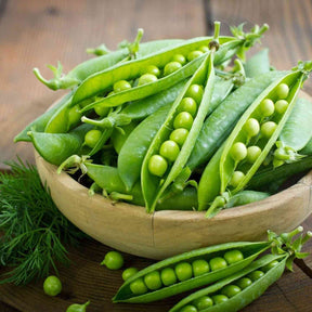 Pea Seeds - Snap - Sugar Ann - Alliance of Native Seedkeepers - Vegetable Seeds