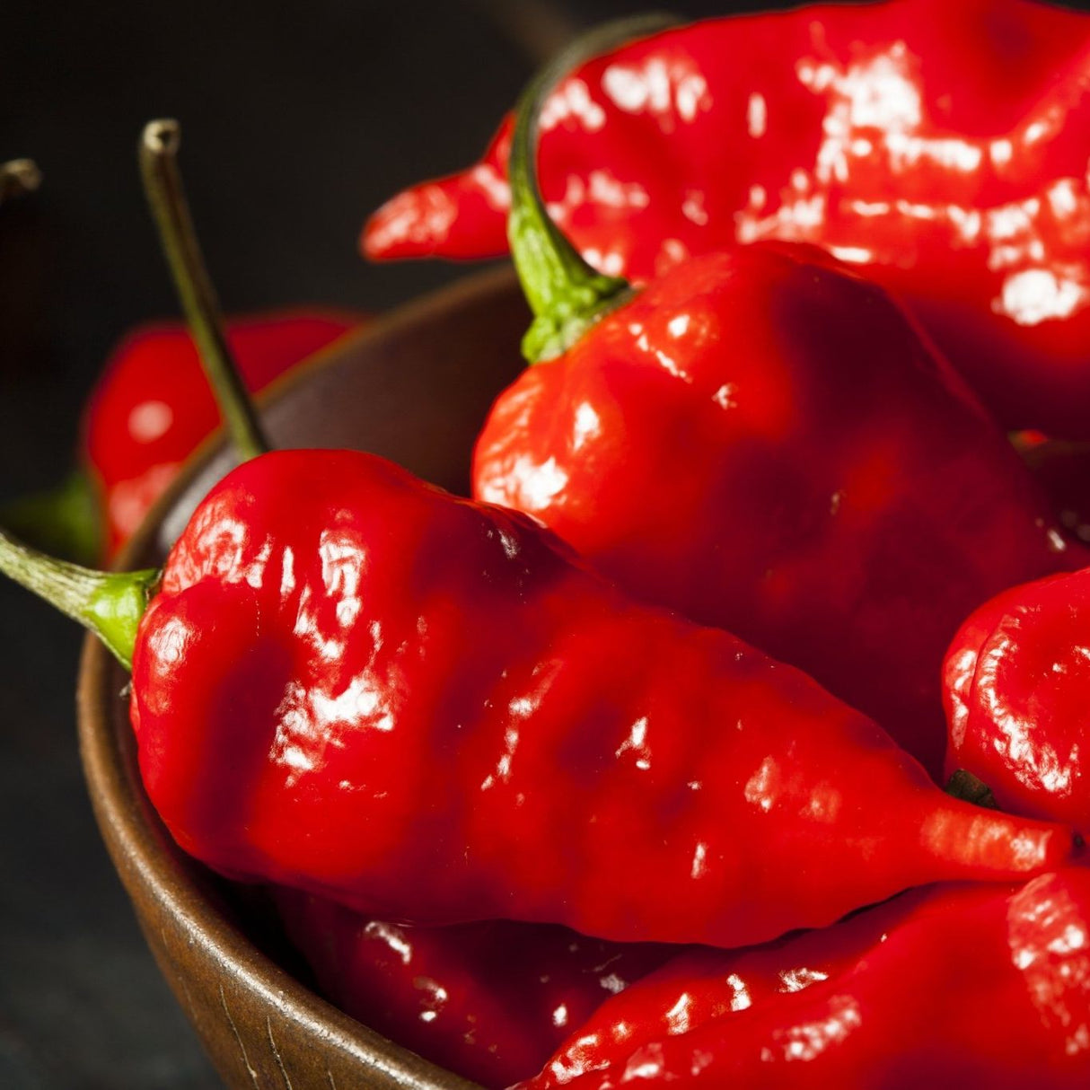 Pepper Seeds - Hot - Bhut Jolokia (Red Ghost) - Alliance of Native Seedkeepers - Vegetable Seeds