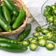 Pepper Seeds - Hot - Jalapeño M Peppers - Alliance of Native Seedkeepers - Vegetable Seeds