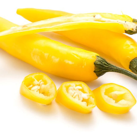 Pepper Seeds - Hot Pepper - Golden Cayenne - Alliance of Native Seedkeepers - Vegetable Seeds