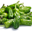 Pepper Seeds - Hot Pepper - Greek Pepperoncini - Alliance of Native Seedkeepers - Vegetable Seeds
