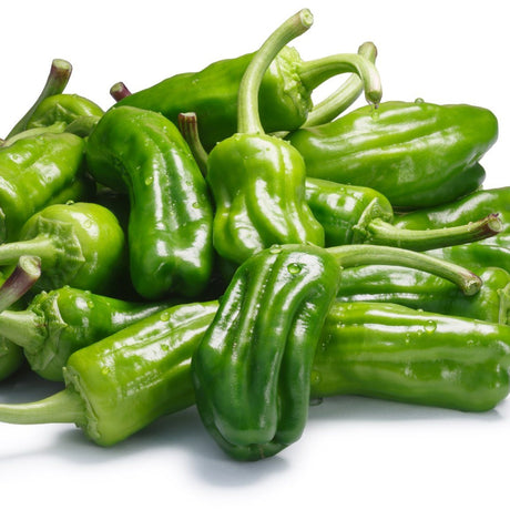 Pepper Seeds - Hot Pepper - Greek Pepperoncini - Alliance of Native Seedkeepers - Vegetable Seeds