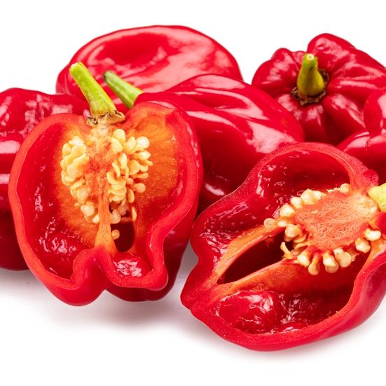 Pepper Seeds - Hot Pepper - Habanero Red - Alliance of Native Seedkeepers - Vegetable Seeds
