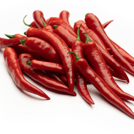 Pepper Seeds - Hot Pepper - Hot Portugal - Alliance of Native Seedkeepers - Vegetable Seeds