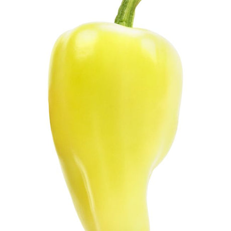 Pepper Seeds - Hot Pepper - Jaloro (Cal Oro) Jalapeño - Alliance of Native Seedkeepers - Vegetable Seeds