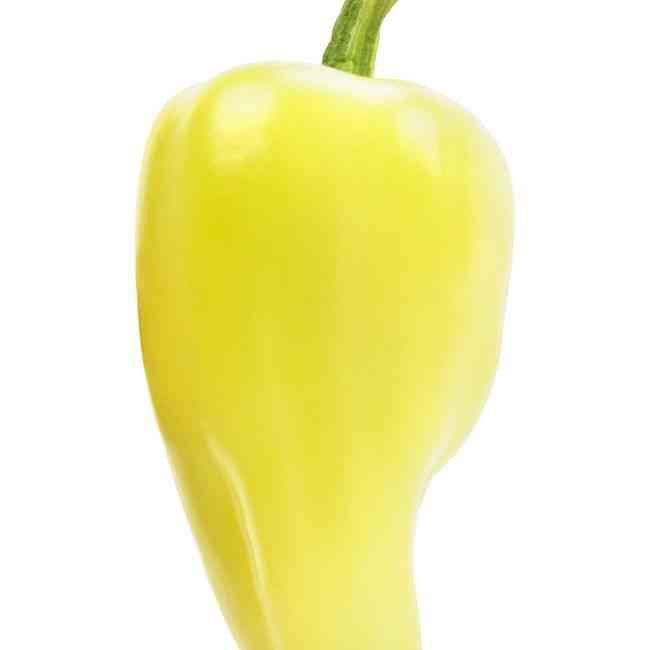 Jaloro (Cal Oro) Jalapeño Pepper Seeds