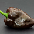 Pepper Seeds - Hot Pepper - Mulato Isleño - Alliance of Native Seedkeepers - Vegetable Seeds