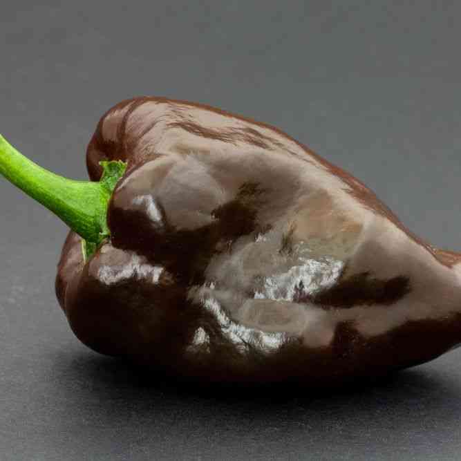 Mulato Isleño Pepper Seeds