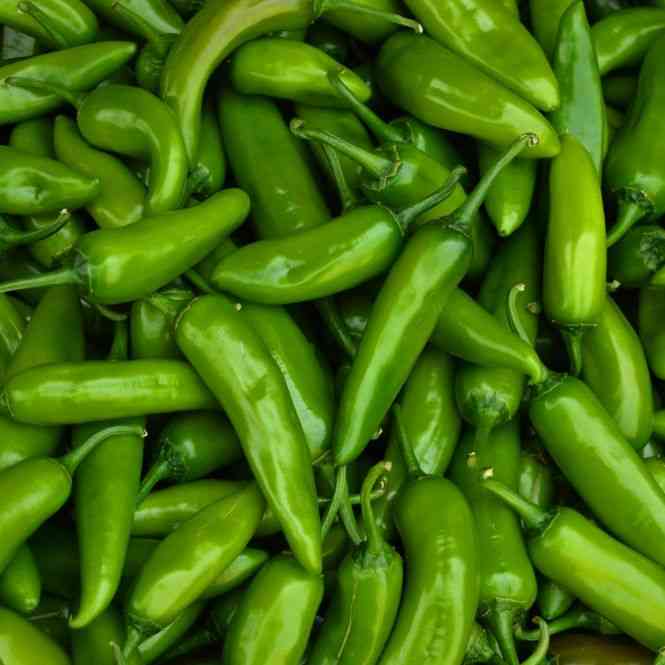 NuMex Big Jim pepper seeds | New Mexican Chile Pepper | AONSK