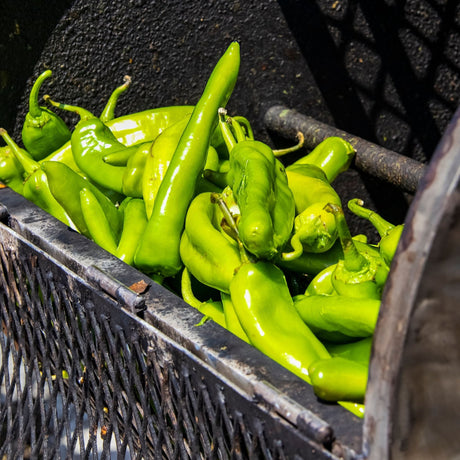 Pepper Seeds - Hot Pepper - NuMex Heritage 6 - 4 - Alliance of Native Seedkeepers - Vegetable Seeds