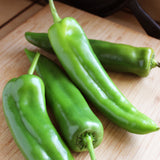 Pepper Seeds - Hot Pepper - NuMex Heritage 6 - 4 - Alliance of Native Seedkeepers - Vegetable Seeds