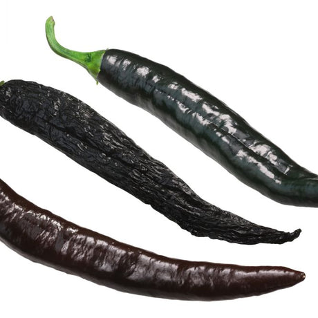 Pepper Seeds - Hot Pepper - Pasilla Bajio (Chilaca) - Alliance of Native Seedkeepers - Vegetable Seeds