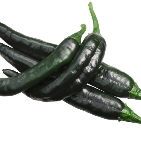 Pepper Seeds - Hot Pepper - Pasilla Bajio (Chilaca) - Alliance of Native Seedkeepers - Vegetable Seeds