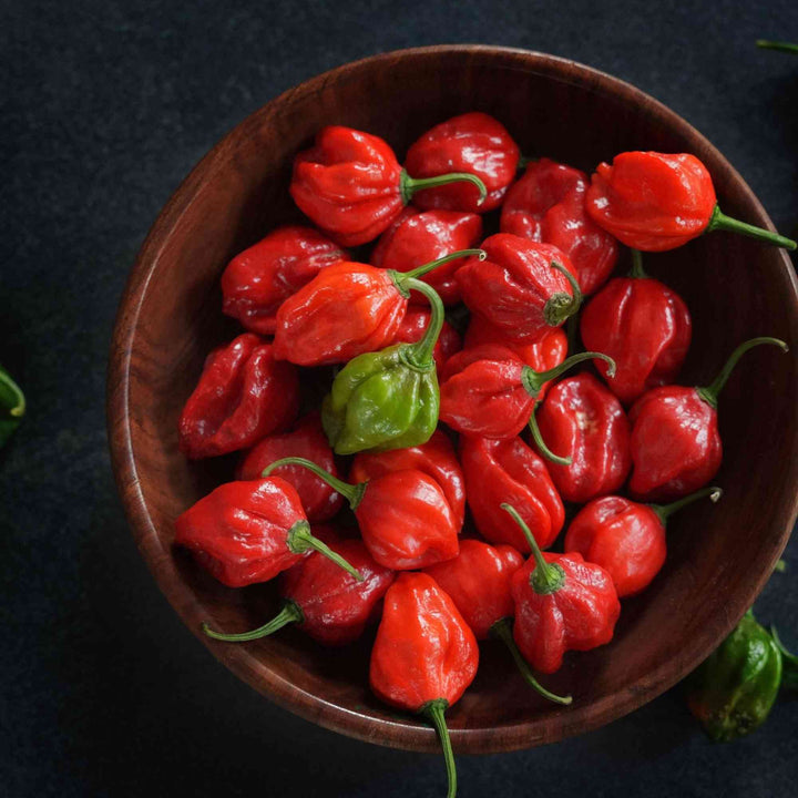 Scotch Bonnet Red Pepper Seeds