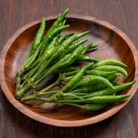 Pepper Seeds - Hot Pepper - Yatsufusa (Japanese Togarashi) - Alliance of Native Seedkeepers - Vegetable Seeds