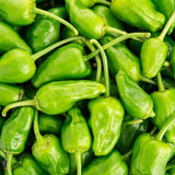 Pepper Seeds - Hot - Pimiento De Padrón - Alliance of Native Seedkeepers - Vegetable Seeds