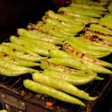 Pepper Seeds - Sweet - Banana Peppers - Alliance of Native Seedkeepers - Vegetable Seeds