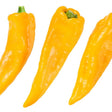 Pepper Seeds - Sweet - Corno di Toro Giallo - Alliance of Native Seedkeepers - Vegetable Seeds
