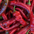 Pepper Seeds - Sweet - Jimmy Nardello - Alliance of Native Seedkeepers - Vegetable Seeds