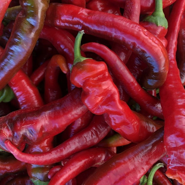 Pepper Seeds - Sweet - Jimmy Nardello - Alliance of Native Seedkeepers - Vegetable Seeds