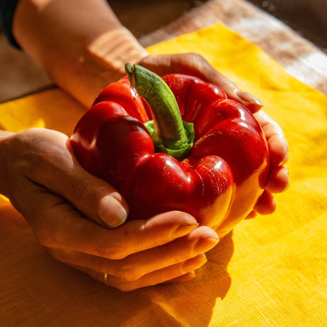 Pepper Seeds - Sweet - Keystone Giant - Alliance of Native Seedkeepers - Vegetable Seeds