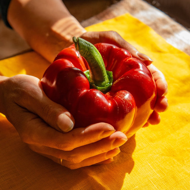 Pepper Seeds - Sweet - Keystone Giant - Alliance of Native Seedkeepers - Vegetable Seeds