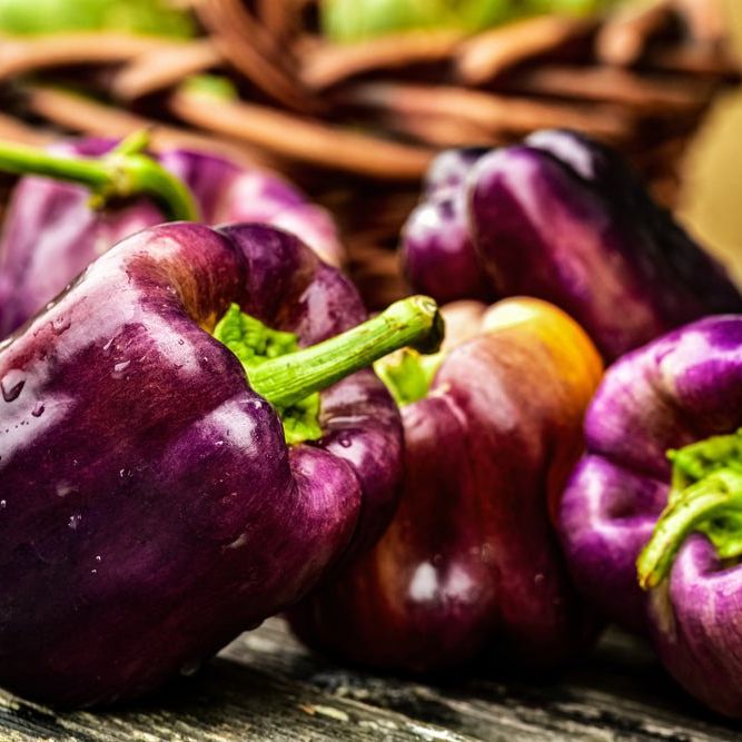 Pepper Seeds - Sweet - Lilac Bell - Alliance of Native Seedkeepers - Vegetable Seeds