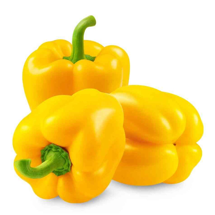 Golden California Wonder Sweet Bell Pepper