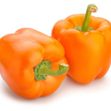 Pepper Seeds - Sweet Pepper - Orange Sun - Alliance of Native Seedkeepers - Vegetable Seeds