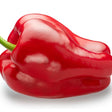 Pepper Seeds - Sweet Pepper - Quadrata d'Asti Rosso - Alliance of Native Seedkeepers - Vegetable Seeds