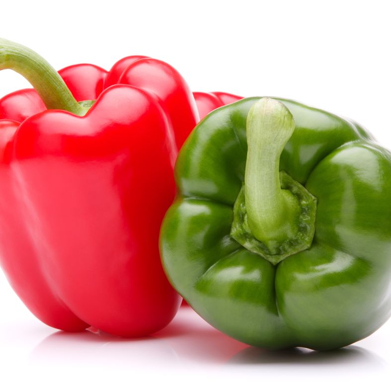 Pepper Seeds - Sweet Pepper - Yolo Wonder - Alliance of Native Seedkeepers - Vegetable Seeds