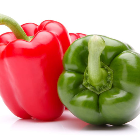 Pepper Seeds - Sweet Pepper - Yolo Wonder - Alliance of Native Seedkeepers - Vegetable Seeds