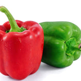 Pepper Seeds - Sweet Pepper - Yolo Wonder - Alliance of Native Seedkeepers - Vegetable Seeds