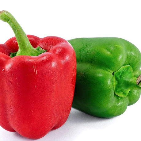 Pepper Seeds - Sweet Pepper - Yolo Wonder - Alliance of Native Seedkeepers - Vegetable Seeds