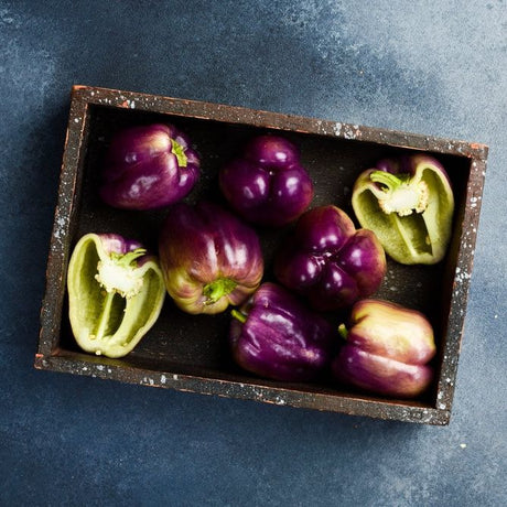 Pepper Seeds - Sweet - Purple Beauty Bell - Alliance of Native Seedkeepers - Vegetable Seeds