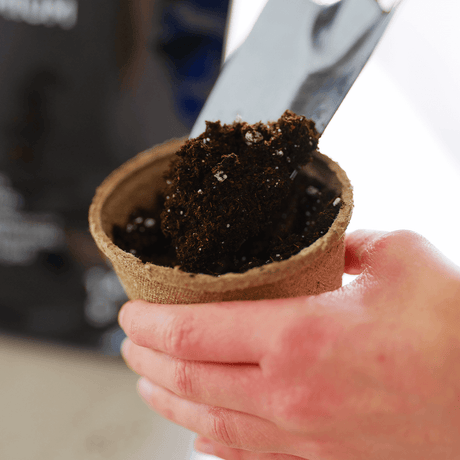 Filling a planting container with PRO-MIX Seed Starting Mix