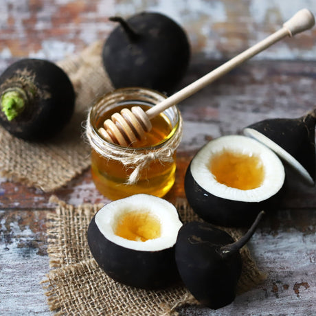 Radish Seeds - Black Spanish - Alliance of Native Seedkeepers - Vegetable Seeds