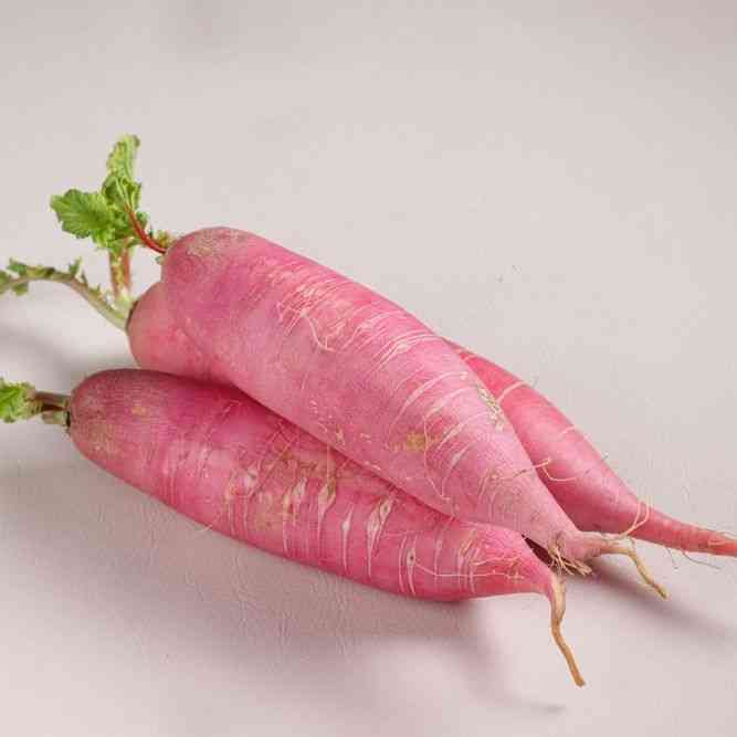 China Rose Radish Seeds
