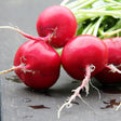 Radish Seeds - Giant German - Alliance of Native Seedkeepers - Vegetable Seeds